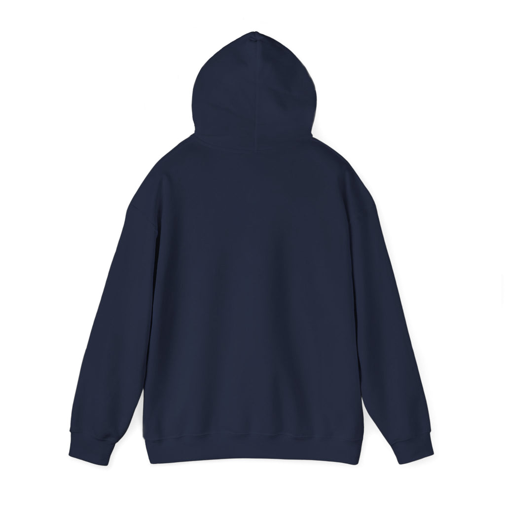 Vamos Brasil Hoodie | Brazil Country Pride, Retro Soccer Championship