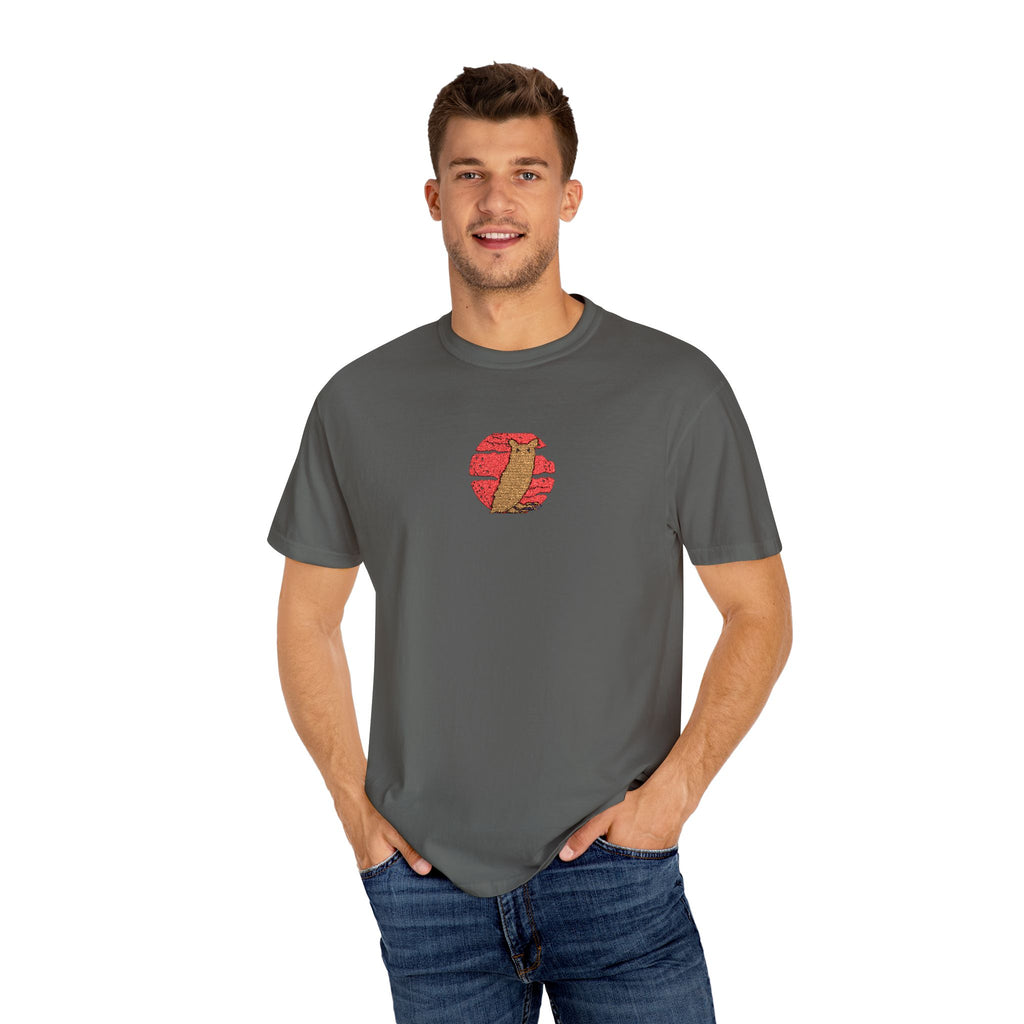Garment-Dyed Unisex T-Shirt with Artistic Design, Cool Graphic Tee, Casual Summer Top, Unique Gift for Friends, Vintage Style Shirt, [...]