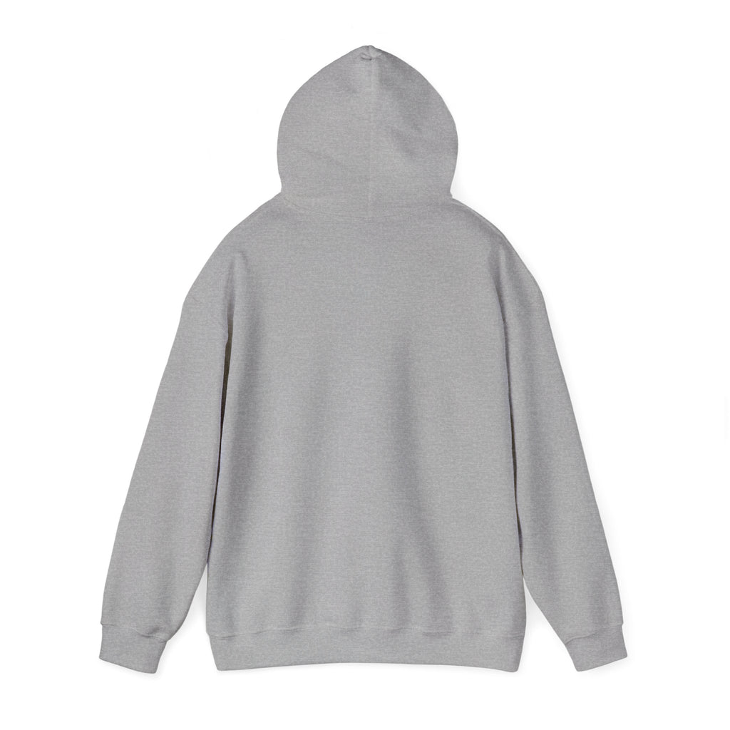 Vamos Brasil Hoodie | Brazil Country Pride, Retro Soccer Championship