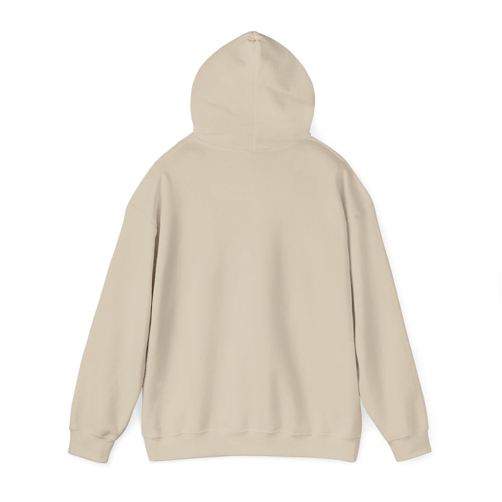 Vamos Brasil Hoodie | Brazil Country Pride, Retro Soccer Championship